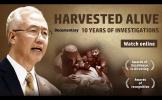 Harvested alive -10 year's investigation of Live Organ Harvesting Harvested alive -10 year's investigation of Live Organ Harvesting