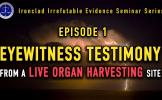 Ironclad Irrefutable Evidence Seminar Series Ironclad Irrefutable Evidence Seminar Series